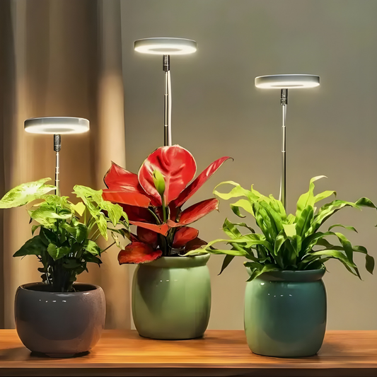 SunRoot™ – Lámpara LED de Espectro Completo para un Crecimiento Saludable de las Plantas