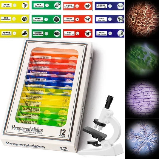Portacopas para Microscopio para Niños - 200MP Muestras para aumento 1000x, Juguete Educativo STEM