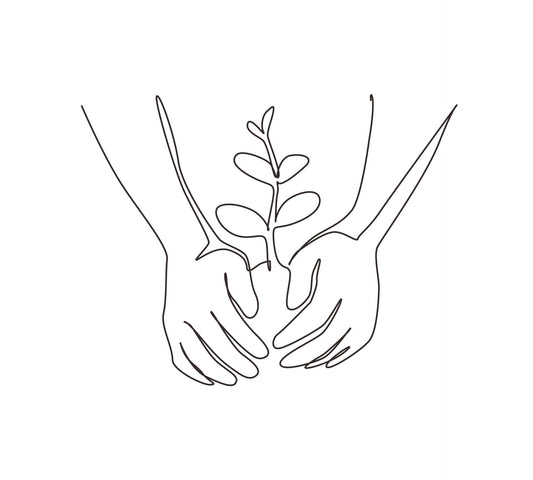 BaumSchutzgebiet™ Plantar un árbol