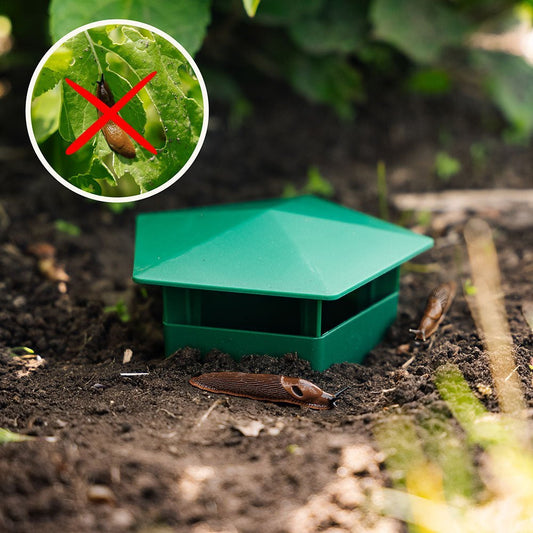 SnailTrap™ – Control de plagas eco-responsable